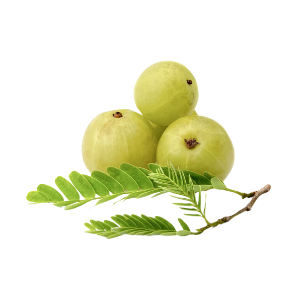 Amla